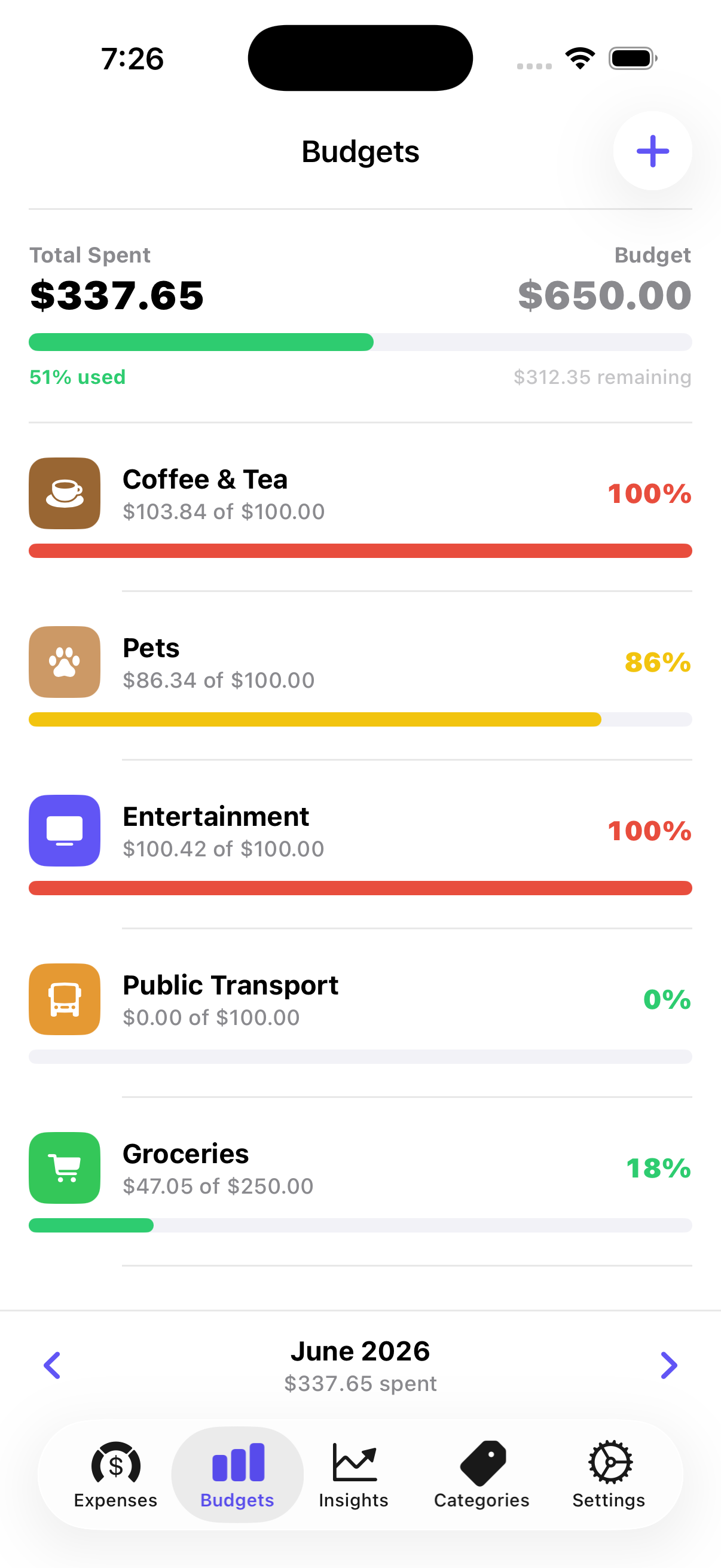 Budget tracking with category progress bars
